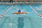 Swimming vs Bentley  Wheaton College Swimming vs Bentley. - Photo By: KEITH NORDSTROM : Wheaton, Swimming, Bentley